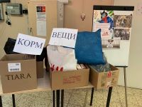 18.01.2020_dom_dlya_sharika_5