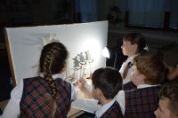 07.02.2020_bremenskie_muzykanty_5