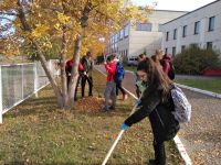 07.10.2020_sdelaem_dvor_chische_2