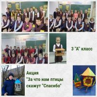11.11.22.11._predmetnyy_marafon_v_nachalnoy_shkole._itogi_34