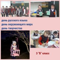 11.11.22.11._predmetnyy_marafon_v_nachalnoy_shkole._itogi_35
