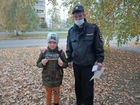 13.10.2020_zasvetisstan_zametney_na_doroge_2