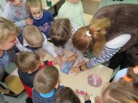 20.1020.11_aktciya_zasvetis_16
