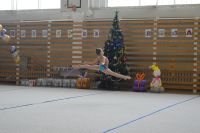 21.12.2019g._novogodnyaya_mozaika_5