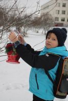 23.11.2020_peredmentnyy_marafon_v_nachalnoy_shkole_13