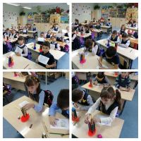 23.11.2020_peredmentnyy_marafon_v_nachalnoy_shkole_4