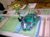 25.10.13_lineyka_95_let_vlksm