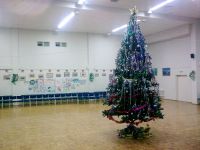 nasha_elka_nov_god_2014