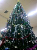 nasha_elka_nov_god_2014_1