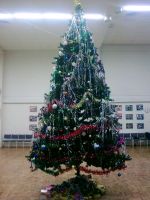 nasha_elka_nov_god_2014_2