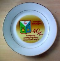21.02.14_40_let_volodarskomu_rayonu_3