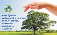 60_kg