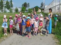 5.06.14_ekosolnyshko