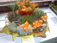 10.10.14_chudesa_oseni_2