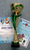 18.10.14_vityaz_dzerzhinsk_3