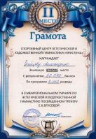 mezhreg_turnir_po_gimnastike_3