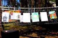 26.05.15_aktciya_pobeda_4