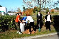25.09.15_uborka_territorii_3