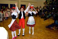 29.12.15_sotc_elka_3