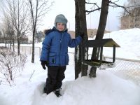 26.01.16_pomogite_ptitcam_5