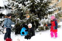 26.01.16_pomogite_ptitcam_9