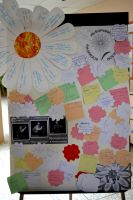 22.04.16_tuberkulez_6