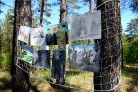 14.05.16_v_lesu_prifrontovom_1