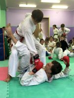 2016_energetik_karate_smena_3