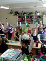 28.11.16_ekol_svetofor_1