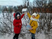 28.11.16_ekol_svetofor_5