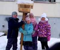 2.02.17_pokormite_ptitc_5