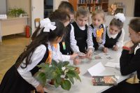 13.04.17_kladovaya_lesa_4