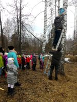 4.04.17_skvorechniki_ot_1a_4