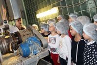 20.10.17_fabrika_suhih_zavtrakov_1