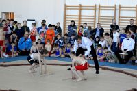 14.04.18_pervenstvo_po_sumo_2