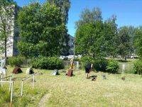 17.07.18_trudovaya_brigada_2