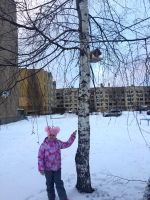 27.11.18_den_okr_mira_1