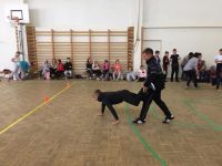 14.09.2019_den_zdorovya_11