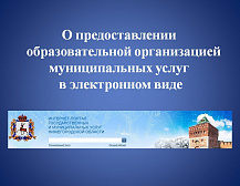 О предоставлении  образовательной организацией муниципальных услуг в электронном виде